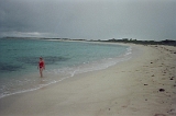 Loblolly Bay Beach Anegada 08